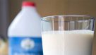 زیان گرانی افزایش قیمت شیر و لبنیات به سلامت می‌رسد