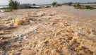 باران ۱۲۰ میلیارد ریال به اراضی کشاورزی اندیمشک خسارت وارد کرد