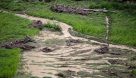 خسارت های زمین کشاورزی اندیمشک پس از بارندگی