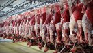 ۱۷ هزار تن گوشت آماده انتقال به کشور است