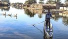 حقابه تالاب بین المللی شادگان از رودخانه کارون تامین می شود