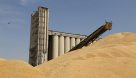 خرید۱۰۰هزار تن گندم به نرخ تضمینی در خوزستان