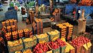 ۵۳ هزار تن سیب و پرتقال تنظیم بازار شب عید توزیع می‌شود