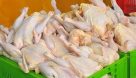 روزانه ۳۵۰ تن گوشت مرغ در خوزستان تولید می‌شود