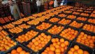 تامین مرکبات شب عید با تولید ۴.۲ میلیون تن پرتقال و نارنگی
