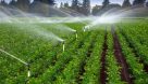 رونق صنعت کشاورزی با استفاده از روش نوین آبیاری