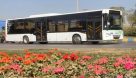 مدیرعامل سازمان اتوبوسرانی اهواز خبر داد : آغاز سرویس دهی اتوبوس های درون شهری ، چهارشنبه ۵خردادماه خواهد بود.
