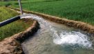 مدیریت صحیح کشاورزی منجر به تولید آب شیرین می‌شود