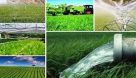 صدور مجوز ۴۹ فقره موافقت اصولی و بهره برداری طرح های کشاورزی در خوزستان
