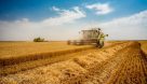 خرید تضمینی ۴ میلیون و ۶۰۰ هزار تن گندم از کشاورزان/ نرخ خرید تضمینی گندم برای سال آینده تصویب شد