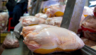 توزیع مرغ منجمد گرما بخش بازار خوزستان