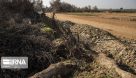 رفع تصرف اراضی ملی در منطقه حفاظت شده کرخه