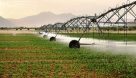 سیستم آبیاری نوین در اراضی کشاورزی خوزستان