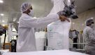 ۵۰ هزار تن شکر سفید در شرکت توسعه نیشکر تولید شد