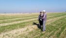 عملیات مساحی اراضی زراعی در حوزه کرخه و شاوور آغاز شد