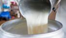 کارخانجات لبنی خرید شیرخام را از دامداران کاهش داده اند| قیمت مناسب فعلی برای شیرخام ۸هزار تومان است