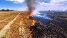 نابودی زمین‌های کشاورزی با آتش زدن کاه و کلش