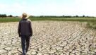 ابلاغ پرداخت تسهیلات خسارت خشکسالی در خوزستان