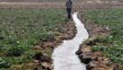 اجرای کشت پاییزه در خوزستان براساس وضعیت منابع آب