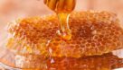 ۲۵۲ تن عسل در مسجدسلیمان تولید شد