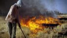 آتش زدن کاه و کلش مزارع تهدیدی جدی برای خاک کشاورزی است