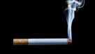 دود بیش از ۷ هزار نخ سیگار در چشمان قاچاقچی