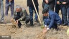 حفظ محیط زیست با کاشت هزاران نهال حرا در خور‌های بندر ماهشهر