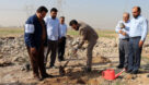 کاشت ۷۵۰۰ اصله نهال کهور توسط شرکت آب غدیر خوزستان