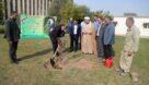 آیین گرامیداشت روز در ختکاری در سازمان آب و برق خوزستان برگزار شد