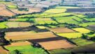 حدنگاری بیش از ۶۵۰ هزار هکتار زمین کشاورزی در خوزستان