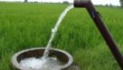 ادعای وزارت نیرو کارشناسانه نیست؛ راندمان آبیاری به ۵۰درصد رسیده است| آب را حجمی به کشاورز بدهید