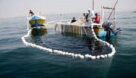 توقیف ۲۷ فروند شناور صید غیر مجاز در خوزستان