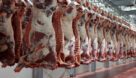 تداوم روند کاهش قیمت گوشت در بازار