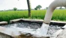 پیگیری تأمین آب برای احشام و کشاورزی بخش مرکزی اهواز