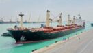 پهلوگیری ۴ کشتی حامل نهاده‌های دامی در بندر امام خمینی