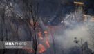 وقوع ۱۱ آتش‌سوزی در پارک ملی کرخه از ابتدای امسال