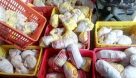 تشریح دلیل افزایش قیمت مرغ در بازار خوزستان