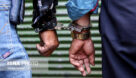 دستگیری باند سارقان احشام در دشت‌آزادگان