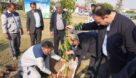 برگزاری آئین روز درختکاری در نفت و گاز مارون مهندس دانشی: توسعه باغستان ها در مناطق همجوار تاسیسات شتاب یابد