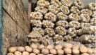 ۱۸۰ هزار تن سیب‌زمینی مازاد، توسط بخش خصوصی صادر شد