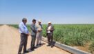 تحقق کاهش مصرف آب در مزارع نیشکر با تغییر شیوه‌های آبیاری