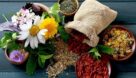 خوزستان تولیدکننده ۳۰ گونه گیاه دارویی